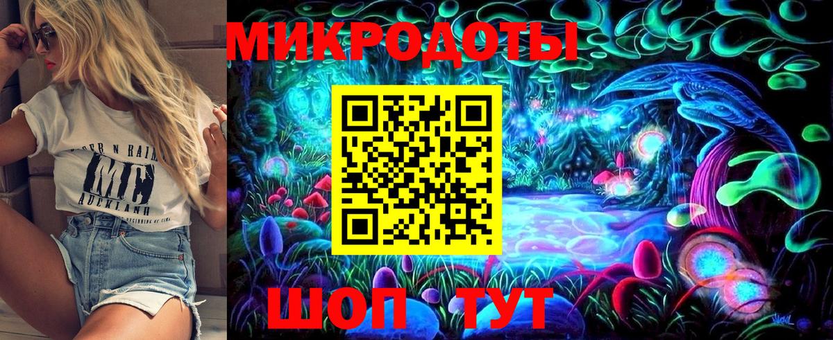 Псилоцибиновые грибы Psilocybe Канск