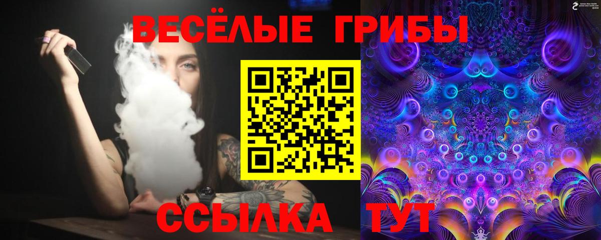 Канск  Галлюциногенные грибы мицелий  Псилоцибиновые грибы прущие грибы  Вход с VPN 